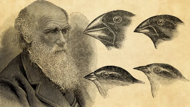 Why is Darwin’s Theory of Evolution an Anathema to the Religionists?- Part III