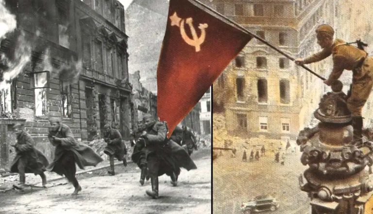 Soviets Butcher the Fascist Snake!