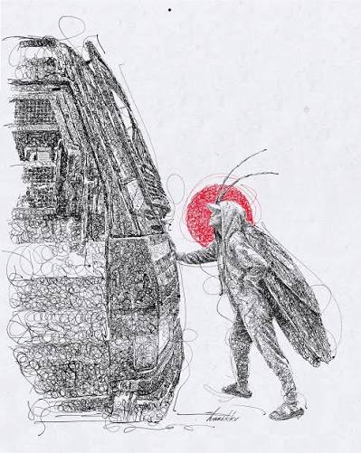 Anatomy of a Cockroach